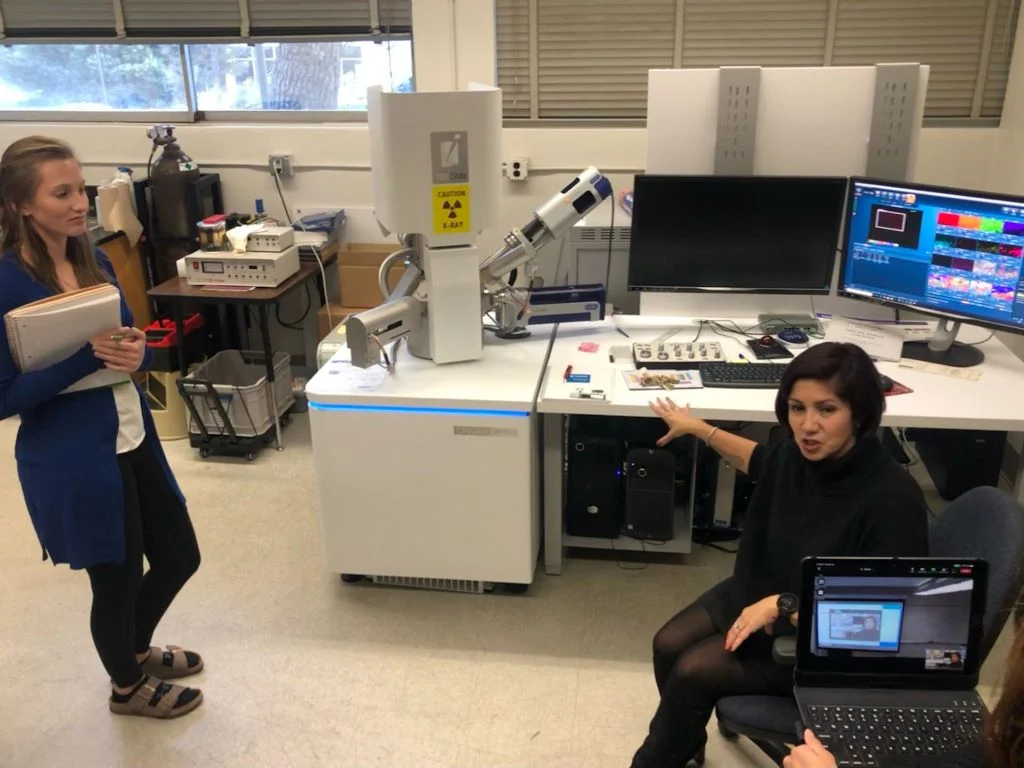 Dr. Elena Miranda hosting four-day workshop, speaking with students at her desk