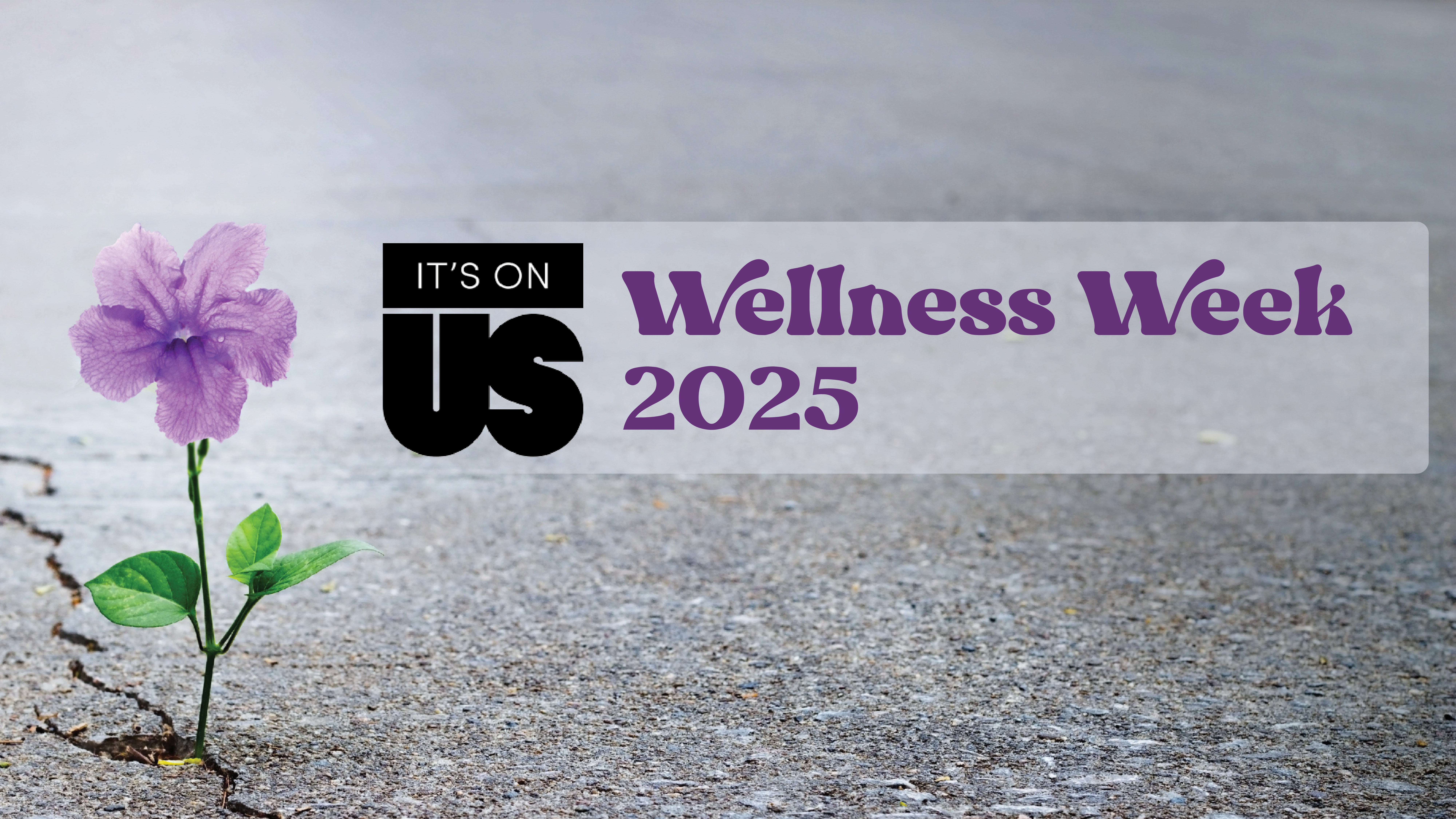 It's On Us: Wellness Week 2025