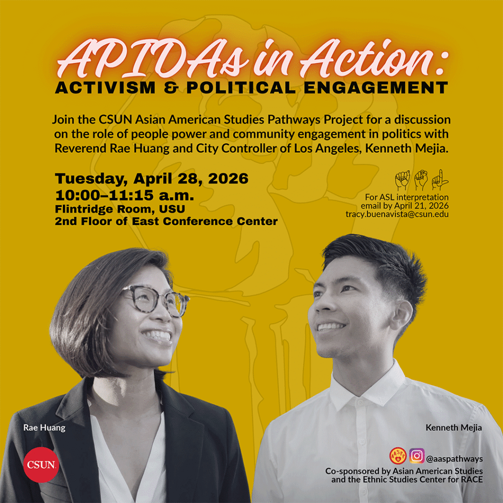APIDAs in Action: Activism and Political Engagement