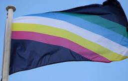 disabilities flag