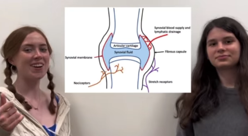 Two students explain knuckle cracking
